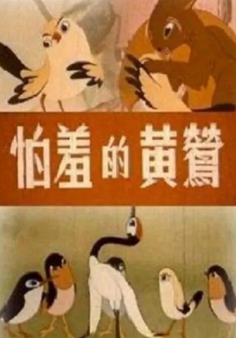 济州岛的性感之夜